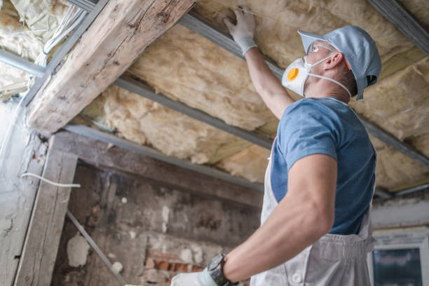 Best Geographic-Specific Insulation Services in Bellerose Terrace, NY